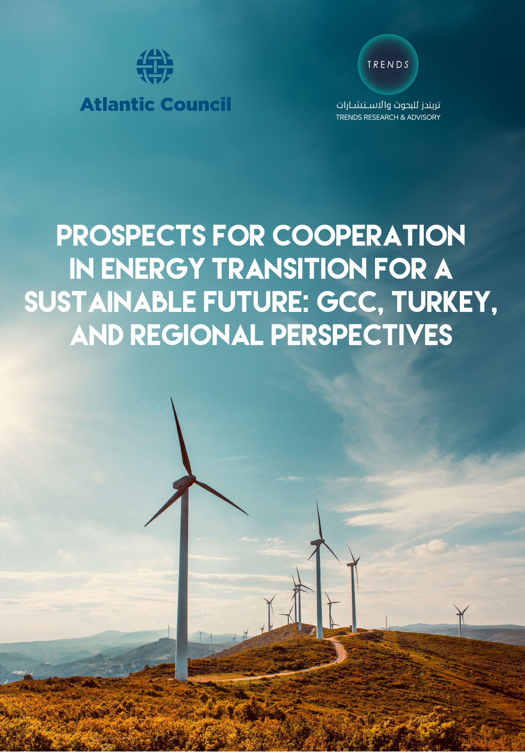 Prospects for cooperation in energy transition for a sustainable future: GCC, Turkey, and regional perspectives