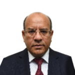 د. حسنين توفيق إبراهيم