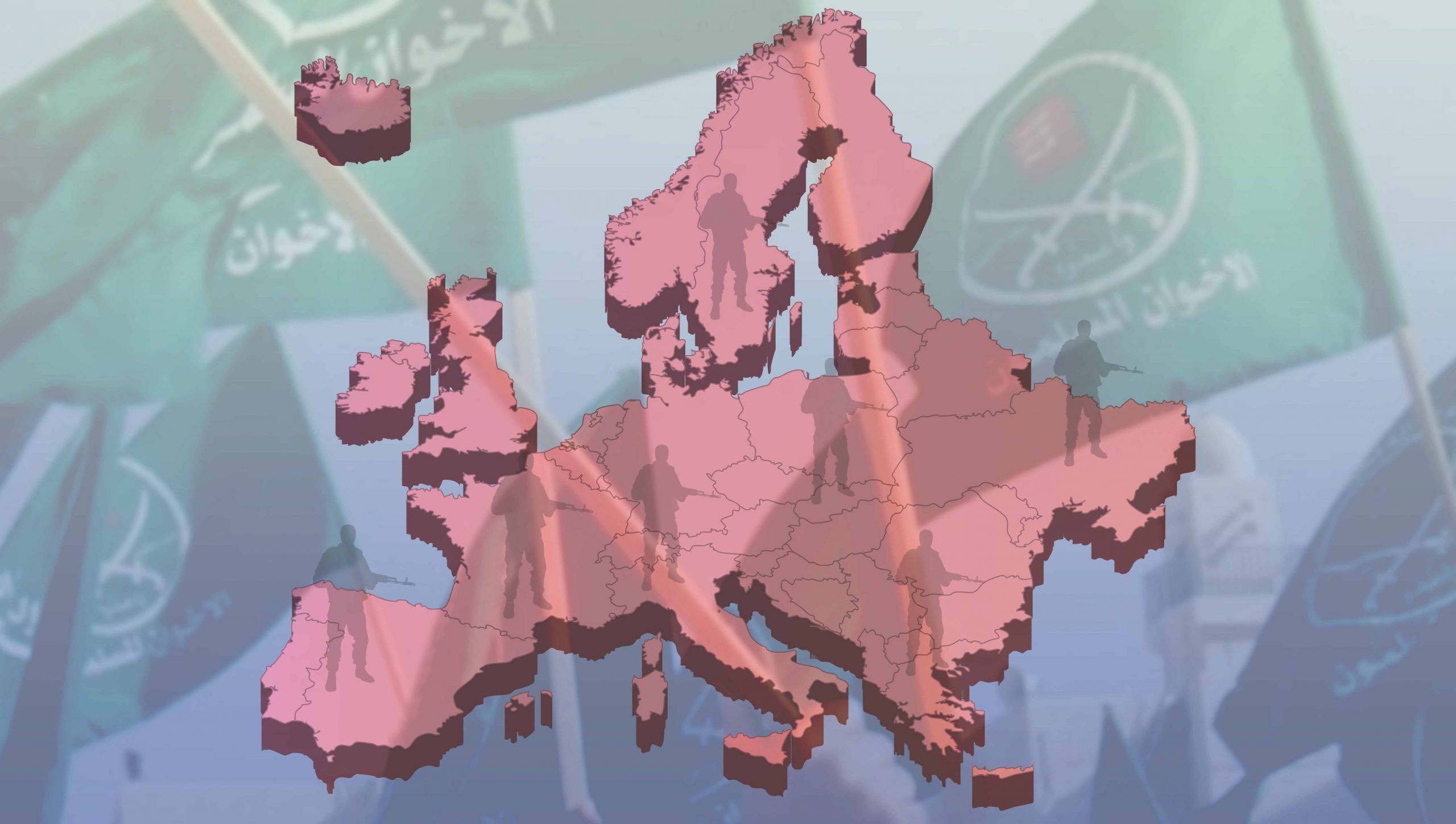 InsightImage