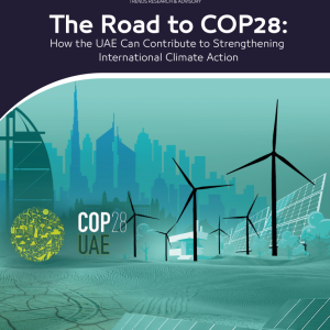 The Road to COP28: How the UAE Can Contribute to Strengthening International Climate Action
