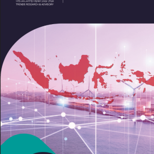 Indonesia: Asia's Other Rising Major Power