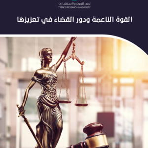 القوة الناعمة ودور القضاء في تعزيزها