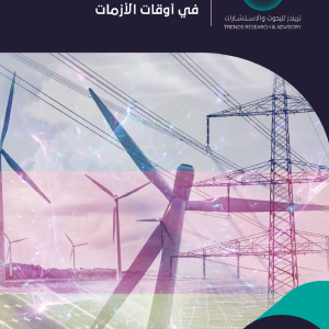 تحولات القوة: إمكانات القوة الناعمة الألمانية وحدودها في أوقات الأزمات