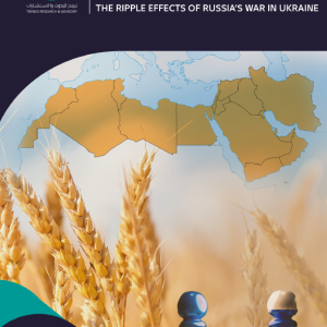Food insecurity in the Middle East and North Africa: The ripple effects of Russia’s war in Ukraine